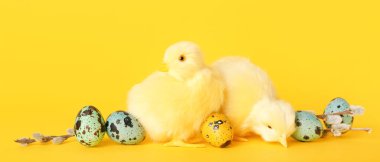 Cute chickens, pussy willow branches and Easter eggs on yellow background