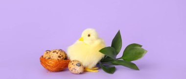 Leylak arkaplanda Paskalya yumurtaları olan şirin bir tavuk ve yuva.