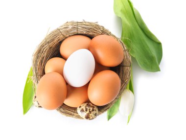 Nest with Easter eggs and tulip flower isolated on white background