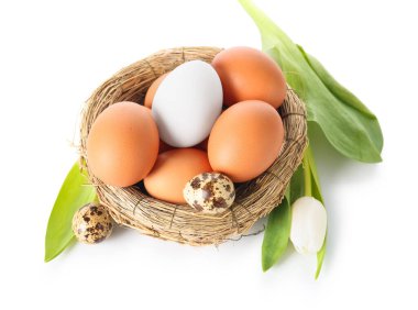 Nest with Easter eggs and tulip flower isolated on white background