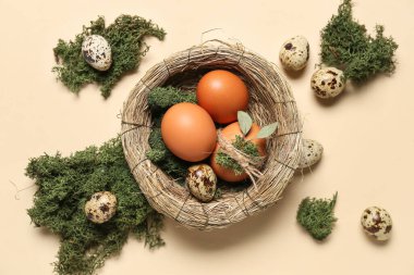 Nest with Easter eggs and moss on beige background