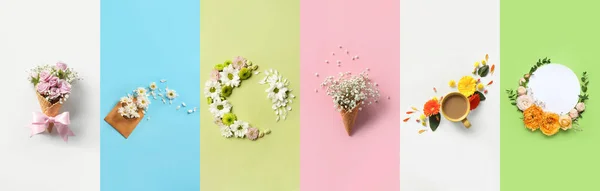 Collage Beautiful Floral Compositions Color Background — 스톡 사진
