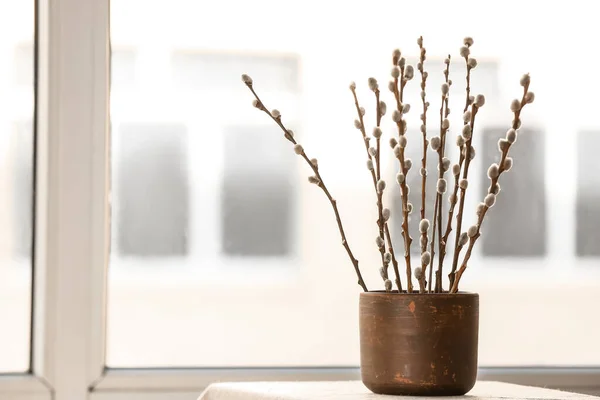 Pot Pussy Willow Branches Window — 图库照片