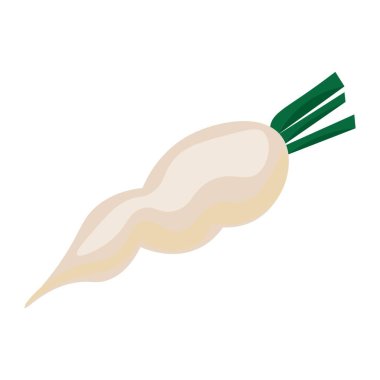 Beyaz arkaplanda lezzetli turp