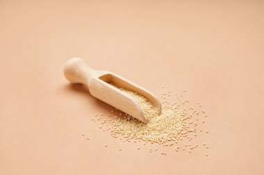 Wooden scoop with amaranth seeds on color background