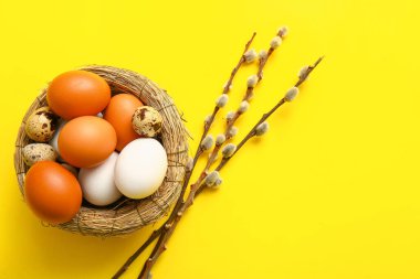 Nest with Easter eggs and willow branches on yellow background