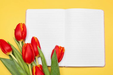 Blank notebook with red tulip flowers on yellow background. Hello spring
