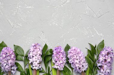 Beautiful hyacinth flowers and plant branches on grunge background