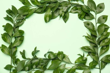 Frame made of fresh plant branches on green background, closeup
