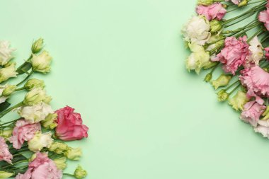 Composition with beautiful eustoma flowers on color background. Hello spring