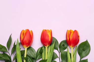 Composition with beautiful tulip flowers and plant branches on lilac background, closeup. Hello spring