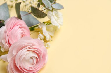 Beautiful spring flowers on color background, closeup. Hello spring