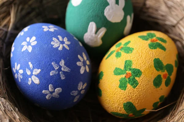 Nest Painted Easter Eggs Closeup — Stockfoto