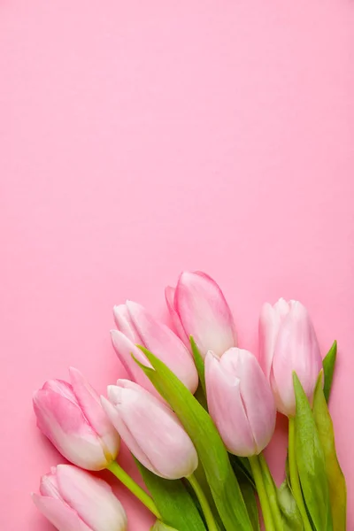 Pembe Arka Planda Bir Buket Güzel Lale Çiçeği — Stok fotoğraf