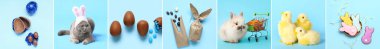 Collage with symbols of Easter on light blue background