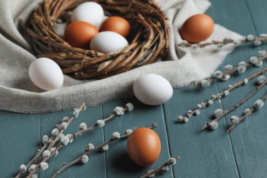 Easter eggs and willow branches on color wooden background