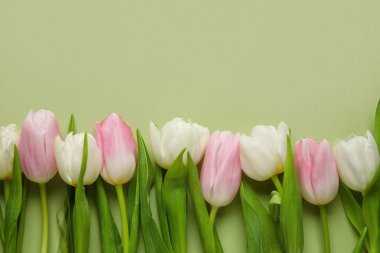 Beautiful tulip flowers on green background, closeup. Hello spring