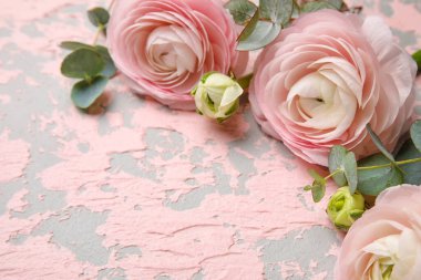Composition with beautiful ranunculus flowers and eucalyptus branches on grunge background, closeup