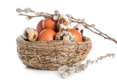 Nest with Easter eggs and willow branches on white background