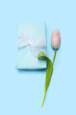 Beautiful tulip flower and gift box for Women's Day celebration on blue background