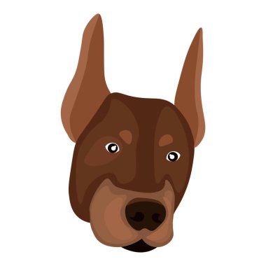 Head of Dobermann dog on white background
