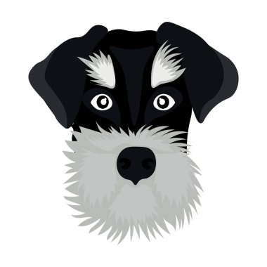 Head of funny dog on white background