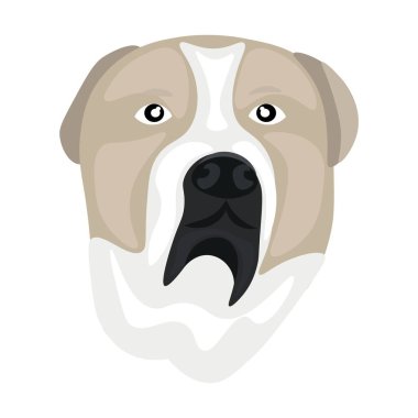 Head of funny dog on white background