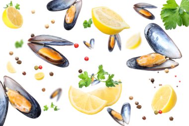 Flying mussels, lemons and spices on white background