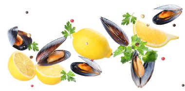 Flying mussels, lemons and spices on white background