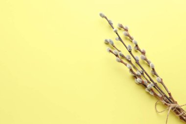 Kukum dalları Sarı zemin üzerine