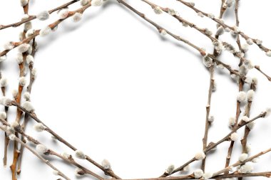 Frame made of pussy willow branches isolated on white background