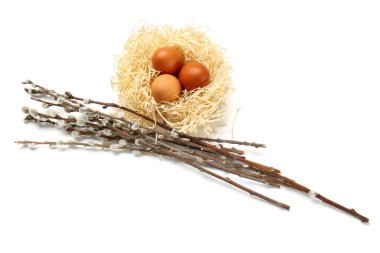 Nest with Easter eggs and willow branches on white background