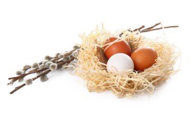 Nest with Easter eggs and willow branches on white background