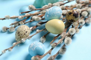 Beautiful Easter eggs and willow branches on color background, closeup