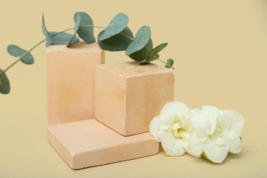 Podiums with beautiful flowers and eucalyptus branch on beige background. Hello spring