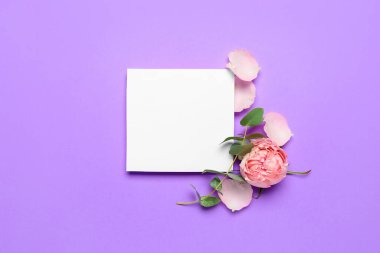 Composition with blank card, beautiful rose flower and eucalyptus branch on lilac background