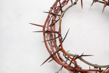 Crown of thorns on white background, closeup