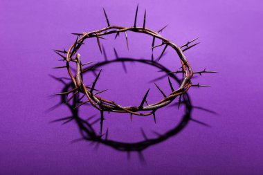 Crown of thorns on purple background. Good Friday concept