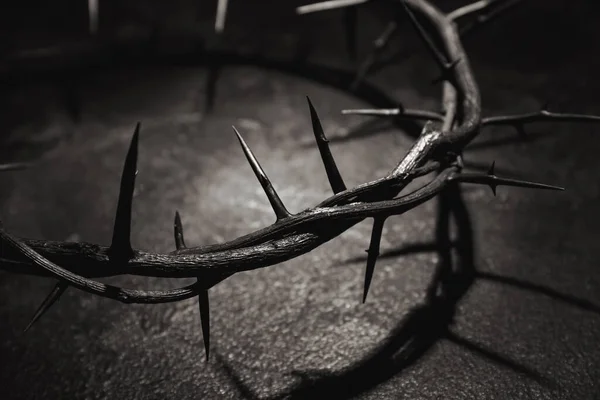 Crown of thorns on dark background, closeup
