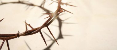 Crown of thorns on light background with space for text, closeup
