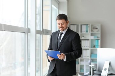 Male accountant with document in office