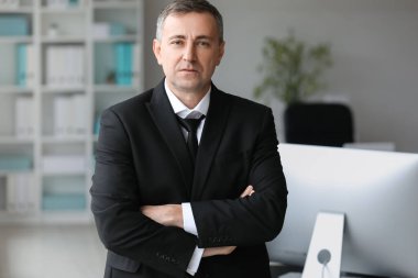 Mature accountant working in office