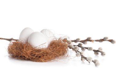 Nest with Easter eggs and willow branches isolated on white background