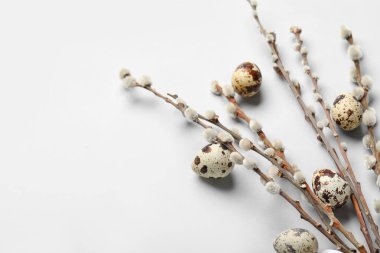 Willow branches and Easter eggs on light background