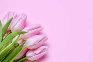 Bouquet of beautiful tulip flowers on pink background. Women's Day celebration