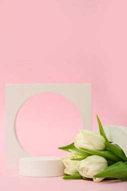 Podiums with white tulips on pink background. Hello spring