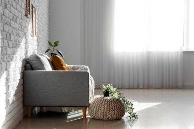 Interior of living room with grey couch and houseplants