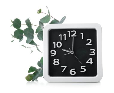 Alarm clock with eucalyptus branches on white background