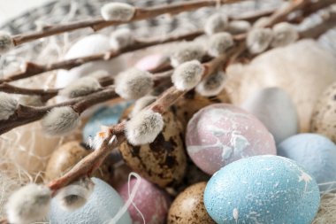 Bowl with Easter eggs and willow branches, closeup