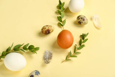 Easter eggs, eucalyptus branches and feathers on yellow background